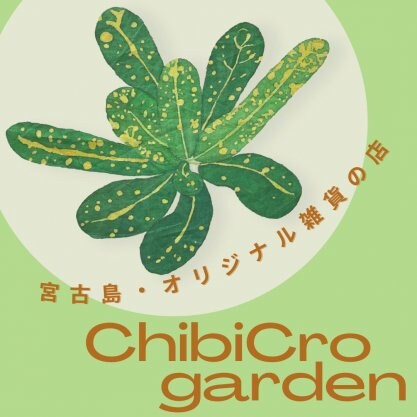 『ChibiCro garden/チビクロガーデン』