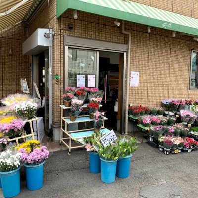 東京都東村山市秋津町のお花屋さん 秋津フラワーへようこそお越し下さいました お花の事ならお任せください 全国発送承ります