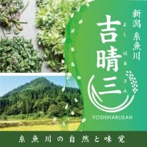 糸魚川の自然と味覚『吉晴三』新潟県糸魚川市