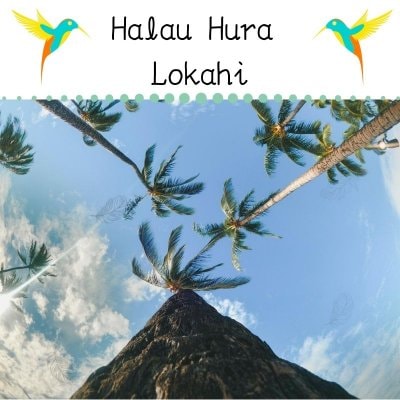 Halau Hura Lokahi|ハーラウ　フラ　ロカヒ