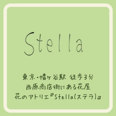 Stellaステラ/ 通販/花のアトリエ/渋谷 幡ヶ谷/ワークショップ　