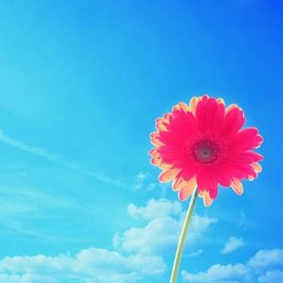 女性の為の学び サポートの取り扱いウェブチケット一覧 ツクツク ウェブチケット モバイル コトの通販サイト 体験を買える