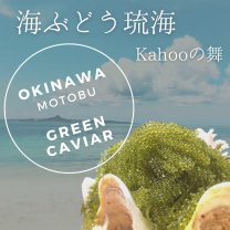 【公式】沖縄　海ぶどう琉海