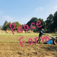 ピースファーム　PeaceFarm