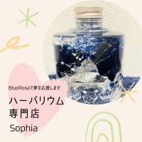 Sophia~ソフィア~