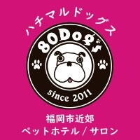 80Dog's【ハチマルドッグス】