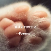 猫まみれの生活〜Powercat〜