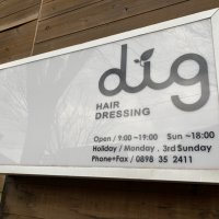 dig HAIRDRESSING