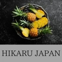 ヒカルジャパン