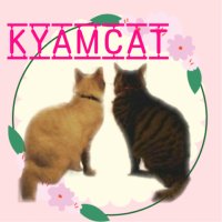 Kyamcat　キャムキャット