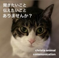 christa animal communication【クリスタ　アニマル　コミュニケーション】
