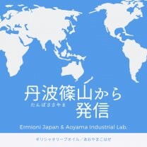 Ermioni Japan/エルミオニジャパン