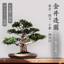 金井造園