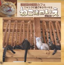 三重県玉城町【保護猫カフェ ねこ達のいえ】