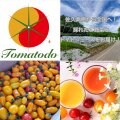 自然資源溢れる佐久高原から全国へ、採れたて野菜とトマトジュースをお届け！トマトード農園