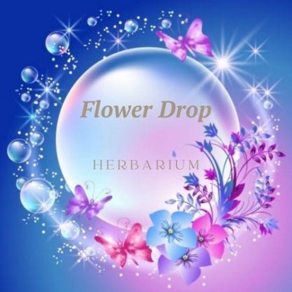 Flower Drop（フラワードロップ）／ハーバリウム