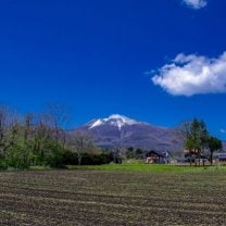 東信応援プロジェクト