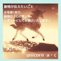 unicorn a・c　【動物が伝えたいこと】