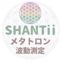 メタトロン波動測定『Holistic Village SHANTii/ホリスティックヴィレッジ シャンティ』