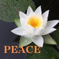 PEACE