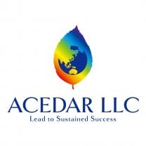 ACEDAR LLC