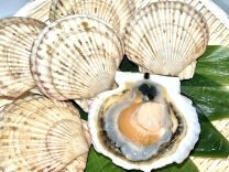 マルカン漁業