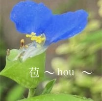 苞〜hou〜
