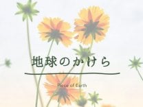 地球のかけら