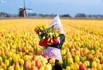 My favorite station  ☆kokonotsu☆彡