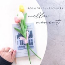 mellow moment