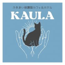 沖縄県西原町の保護猫カフェ「ふれあい保護猫カフェ＆ホテルKAULA（カウラ）」