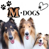 Ｍ・DOGS