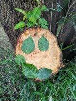 いいねきっずかまくら