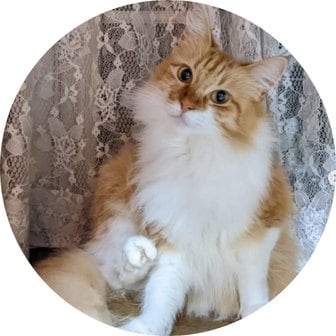 ファンクラブ