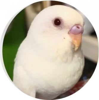 ファンクラブ