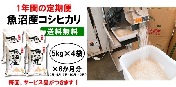 【送料無料】産地直送|新潟魚沼産コシヒカリ定期便|1年間お取り寄せ（6ケ月分×（5kg×4袋）