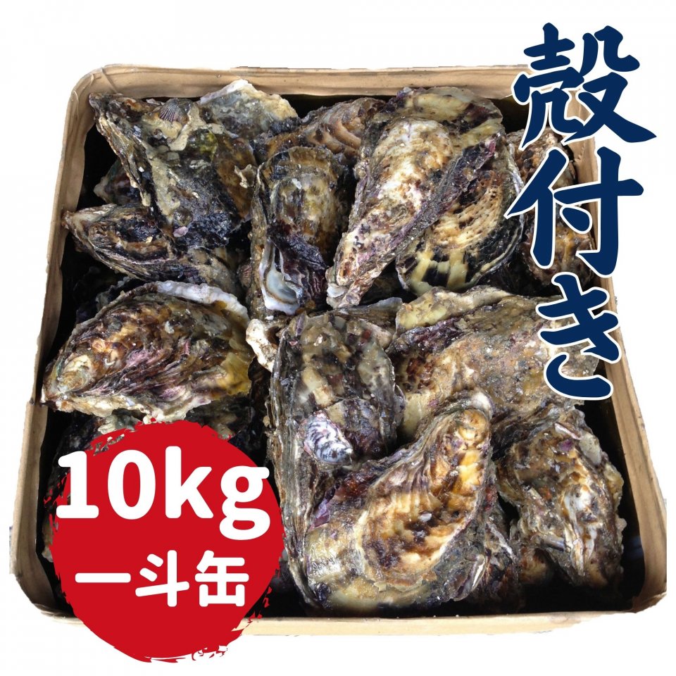 殻付き一斗缶10kg