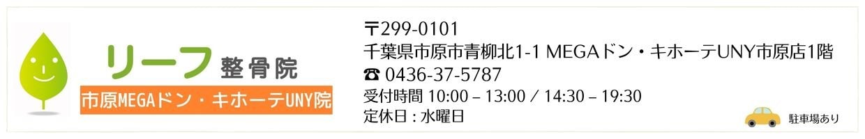 リーフ整骨院 市原MEGAドン･キホーテUNY院リーフ鍼灸整骨院グループ 治療院 交通事故治療 むちうち腰痛肩こり