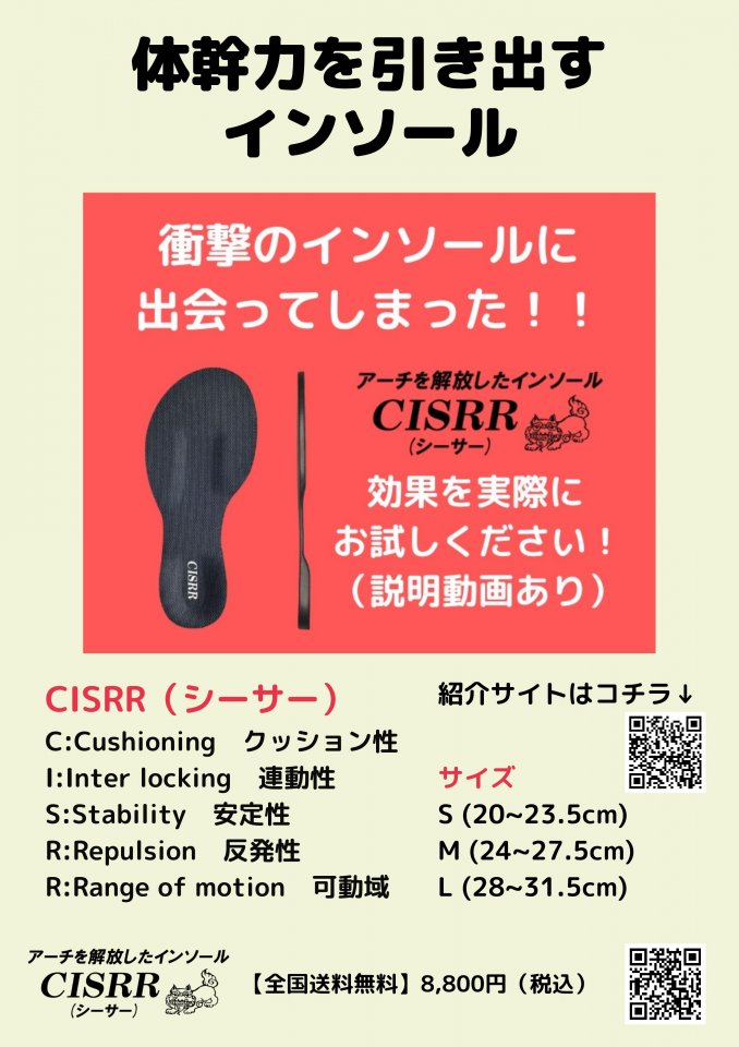 【全国送料無料】CISRRインソール　8,800円（税込）　機能性向上インソール！