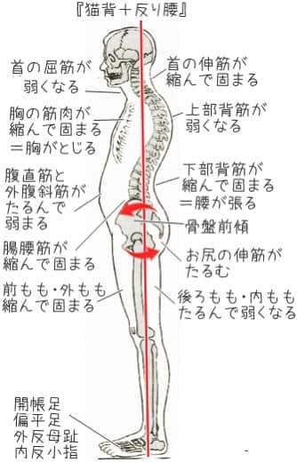 コアシンクEMSコースのご案内　愛媛県西予市　おかだ整骨院・整体院　捻挫、肉離れ、オスグッドなどスポーツ障害ならお任せください。腰痛、肩凝り、自律神経治療もご相談ください。交通事故治療専門院。