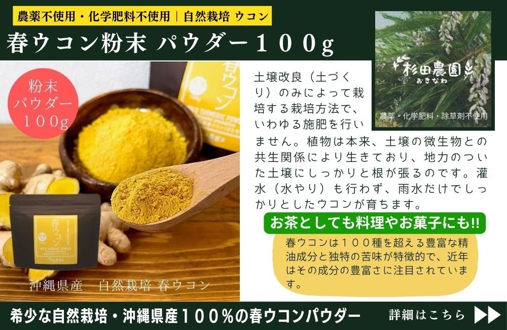 春ウコン粉末パウダー沖縄県産農薬不使用