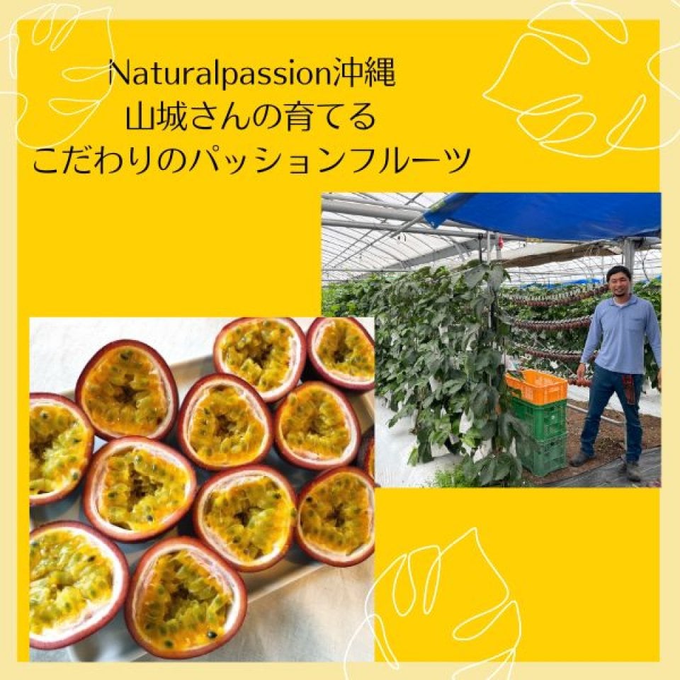 Naturalpassion沖縄