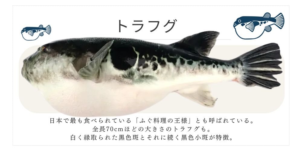 とらふぐ 千葉ふぐくじら情報発信サイト 千葉県ふぐ連盟 ふぐ料理 河豚  