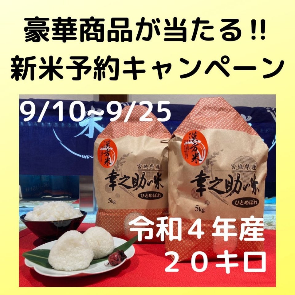 宮城県のおいしい米は【関村畜産】｜幸之助の米・玄米｜こだわりの漢方米のお取り寄せはこちら。粘りと甘味のあるおいしい米 を漢方和牛を育てる関村畜産からお届けいたします。