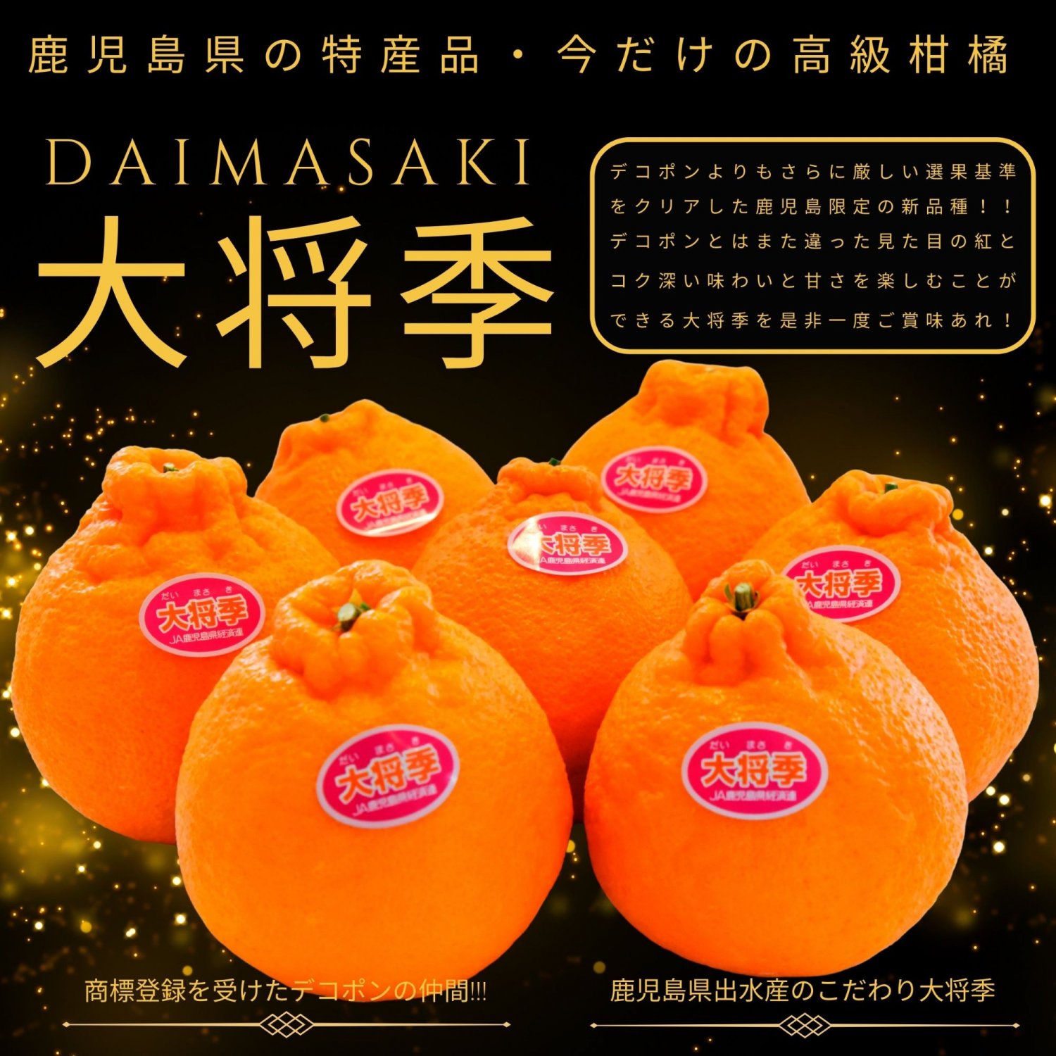 鹿児島県出水産｜大将季｜3kg