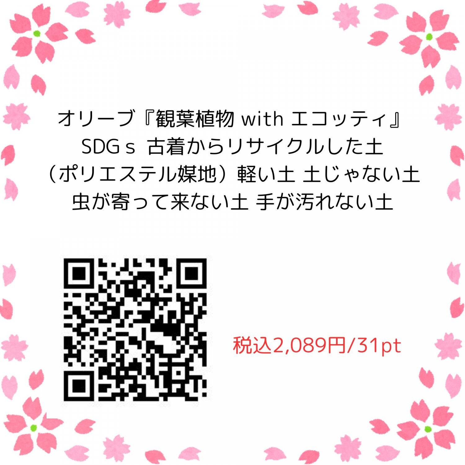 オリーブ『観葉植物 with エコッティ』