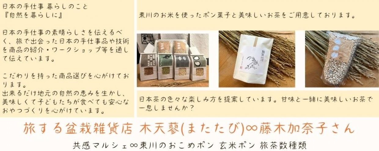 またたび