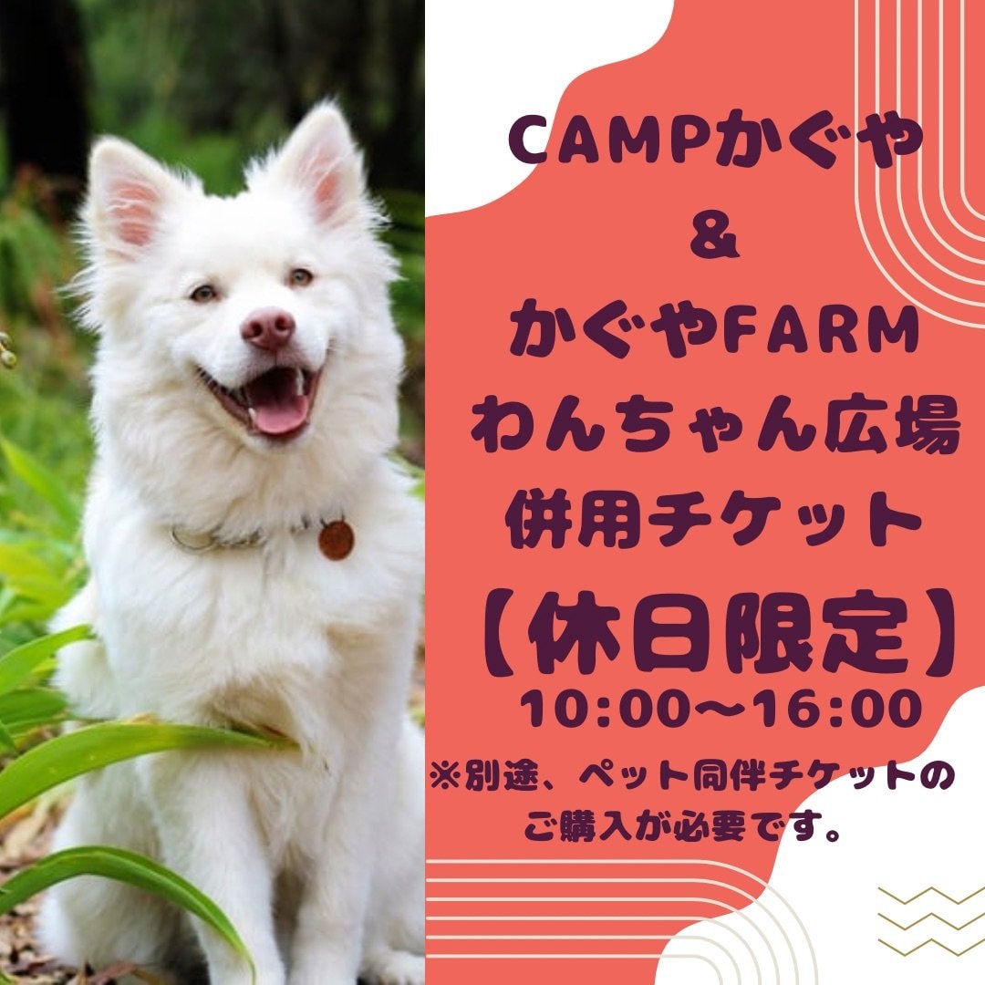 【休日限定】CAMPかぐや利用者わんちゃん広場併用チケット