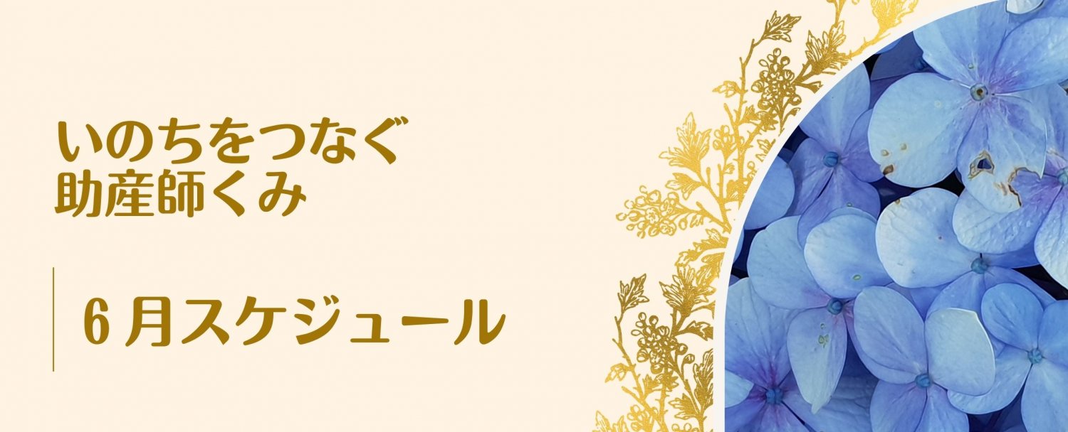 6月スケジュール