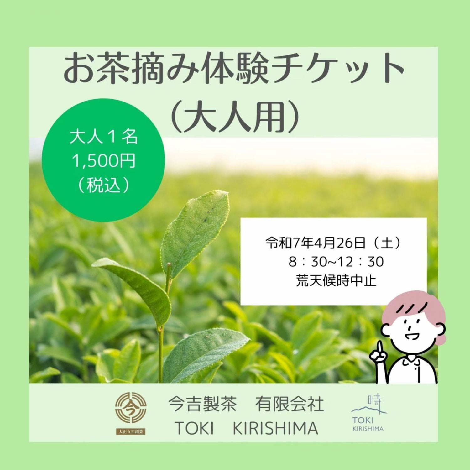 今吉製茶お茶摘み体験チケット